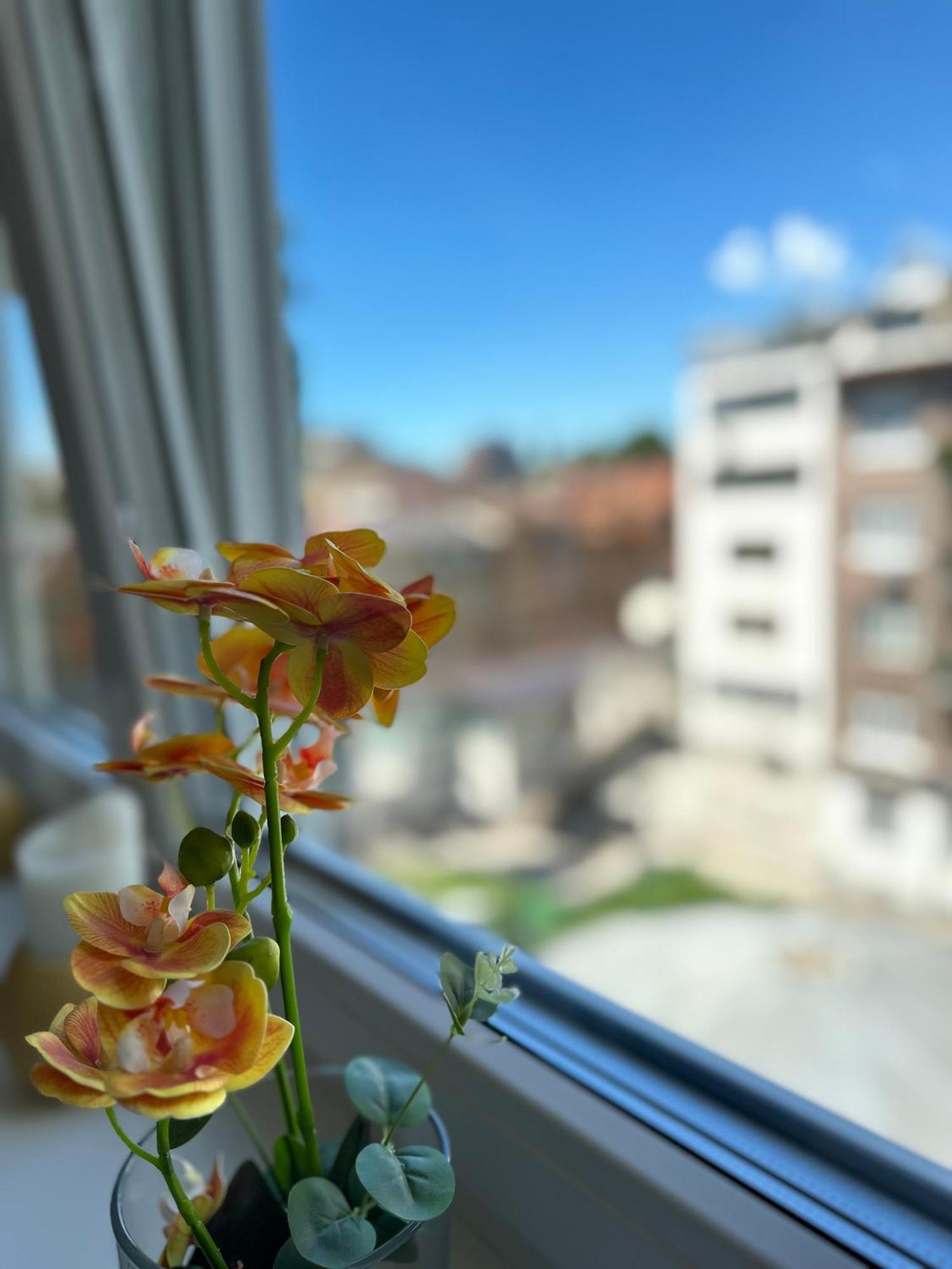 Aurelio Centar Apartment With Balcony And Free Parking SJJ Esterno foto